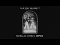 Car Seat Headrest - Teens of Denial (Demos)