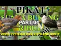 Download Lagu SUARA BURUNG RIBUT PART #04 || KOMBINASI SUARA PRENJAK DAN KUTILANG TERNYATA LEBIH AMPUH!