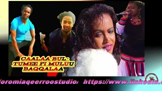 new oromo music 2020 caalaa bultumee u0026 mullu baqqalaa aana male qabduu