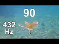 90 Second Timer - Countdown Clock Timer