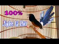 Download Lagu Chòe lửa kích lửa cực sung ,tạch liên tục đập đuôi kích chòe lửa lên lửa hót đấu. kích chòe lửa hót