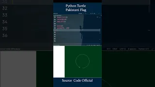 Creating the Pakistani Flag in Python Turtle A Step-by-Step Guide