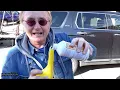 The Fuel Additive Mechanics Don t Want You to Know This Will Save You Thousands in Car Repairs