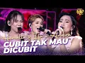 Download Lagu Hemalia X Ifa X Andira - Cubit Tak Mau Dicubit | KONTES  KDI 2024