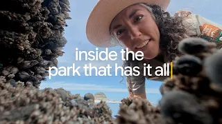 The world’s top nature searches answered in one epic national park | Searching For