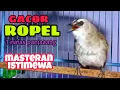 Download Lagu pakai masteran ini semua trucukan akan ikutan gacor ropel panjang 1 nafas
