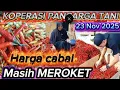Info harga cabai hari ini!! Koperasi cabe Kab. Magelang@Sariftanichannel6685
