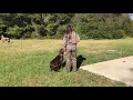 Benelli Running Marks