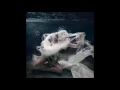 Download Lagu LYRA - Emerald