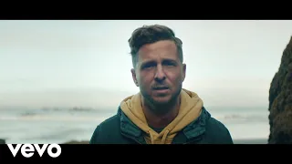 onerepublic wild life