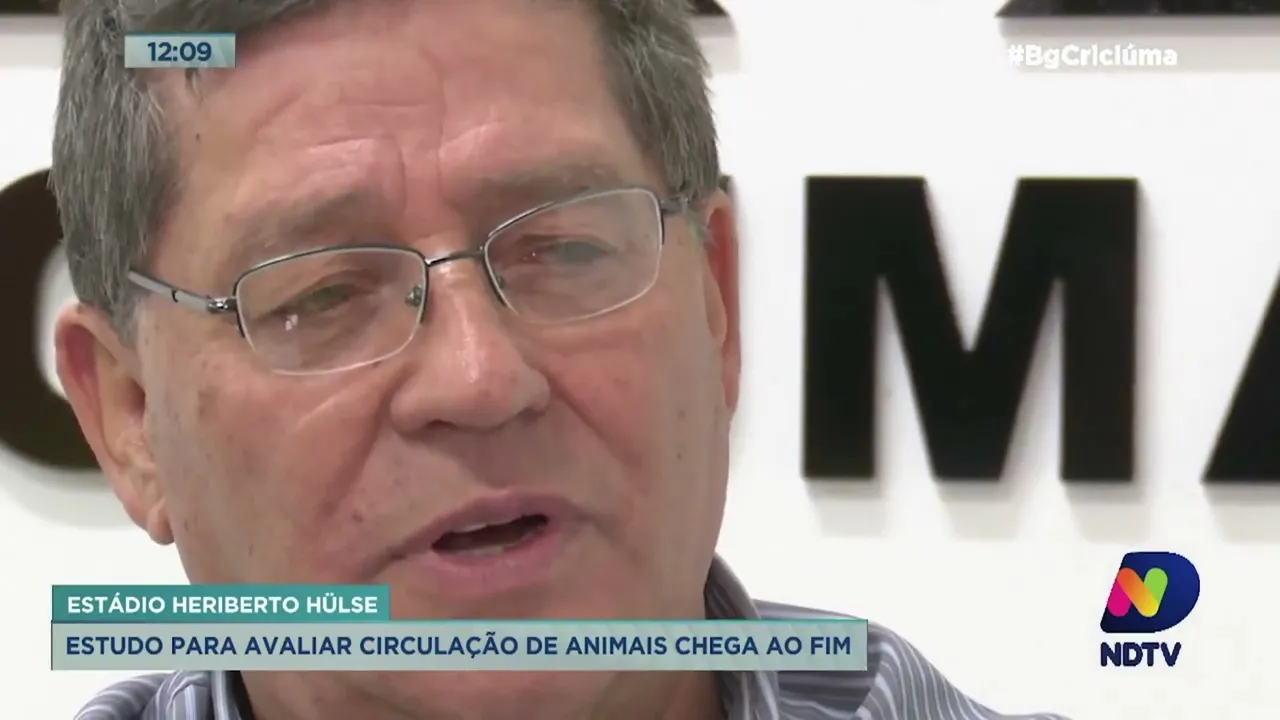 Estudo indica que não há presença constante de animais silvestres no Estádio Heriberto Hülse