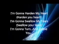 Download Lagu Shadows of the Night/Harden My Heart Lyrics