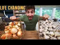 Why I m Never Buying Onions and Garlic Again
