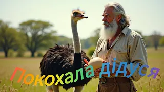 Покохала дідуся Українська жартівлива пісня Folk Humour Друге Життя 