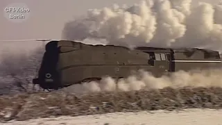                                                  دندنها