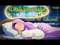 Download Lagu Surah Al-Baqara–Listen Before Sleep|Peaceful Quran Recitation That Protects from Evil|Saad Al-Ghamdi