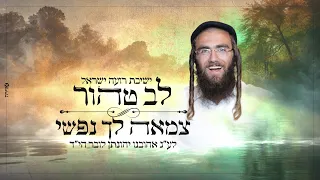 לב טהור פיטסבורג צמאה לך נפשי בעלזא ישיבת רועה ישראל 