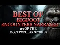 Download Lagu BEST OF BIGFOOT ENCOUNTERS NARRATED - 23 OF THE MOST POPULAR STORIES