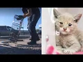Amazing rescue Kitten saved from Phoenix storm drain