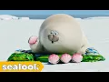Download Lagu ASMR🔈 Mukbang with Chubby Seal #006ㅣSEALOOKㅣEP.100