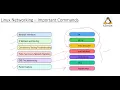 Linux Networking commands ip ping and traceroute