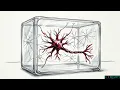 Which Neurons Detect Malicious Code A ProbingStudy of LLM Security Knowledge
