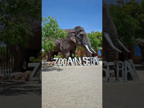 Ain Seba Zoo Casablanca  حديقة الحيوانات عين السبع الدار البيضاء #shorts