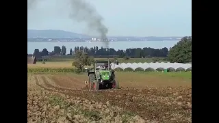                          دندنها