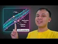 Support Vector Regression vs Linear Regression Why SVR Wins