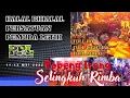 Topeng Ireng full lighting | Selingkuh Rimba|Halal Bihalal Persatuan Pemuda Letih Mergowati Kedu Tmg
