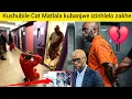 Lagu Kushubile💔 kuVusi Cat Matlala 😭kubanjwa zonke izinhlelo zakhe ebelele phezukwazo zizwele nayi lendab