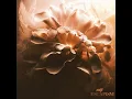 Escapism (Cover)