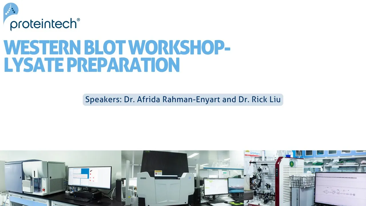 Western Blot Workshop - Lysate Preparation