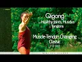 Download Lagu 💪 Yi Jin Jing Qigong | Muscle-Tendon Changing Classic for Strength, Flexibility \u0026 Energy Flow 🐉