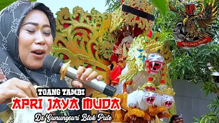 Download TOANG TAMBI - Singa Depok APRI JAYA MUDA (AJM) Show Ds Gunungsari Blok Pule MP3