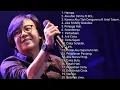 Download Lagu Lagu Ari Lasso full album