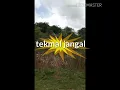 Download Lagu Mavuri andhalmavuri badulaku dandalu,maa vuri andhalu,andala na mogudu,telangana,telangana folk song