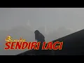 Download Lagu BIMBO - Sendiri Lagi