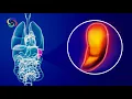 Download Lagu Spleen Healing Sound, Binaural Beat Frequency for a Healthy Spleen, Binaural Beats Isochronic Tone