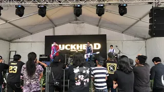 Download Duckhead - Masa lalu Live at Selangor Youth Republic MP3