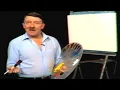 Austrian Painting 101