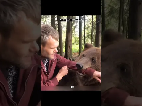 This Bear Thought It Was a Hug 😂🐻
