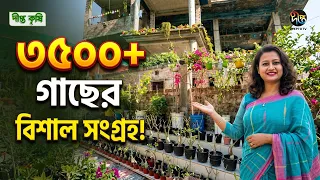 Deepto Krishi l অ্যাডেনিয়াম গাছের পরিচর্যা শিখুন সহজেই l Ornamental plants l Adenium flower