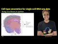 326 - Cell type annotation for single cell RNA seq data