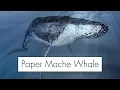 Making a Giant Paper Mache Whale