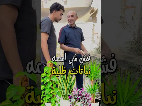 حقيقة النباتات الظلية و الداخلية #indoorplants #النباتات_الظلية