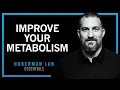 How to Control Your Metabolism by Thyroid Growth Hormone Huberman Lab Essentials