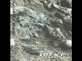 Download Lagu ČERTŮF PUNK -  Fucking World CD (1998)