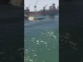 Crazy Plane Stunt Ends in a Massive Water Crash