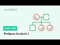 Pedigree Analysis - Part 1 Autosomal Inheritance Patterns